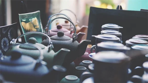 ココヤシファイバーネットの庭での正しい使い方とコツ