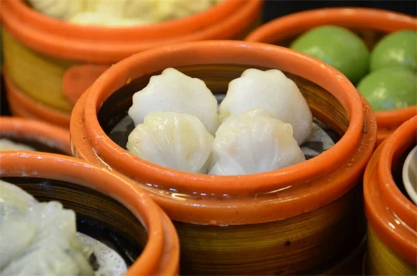 鶏専用の庭が必要な理由と作り方の完全ガイド