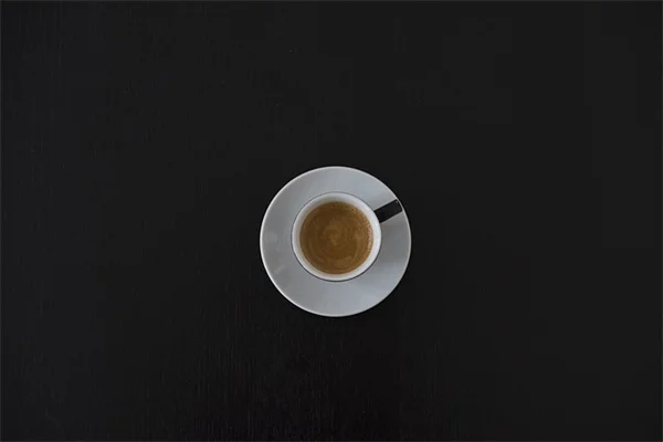 水槽の中に小さな庭を作る！アクアスケーピング完全ガイド