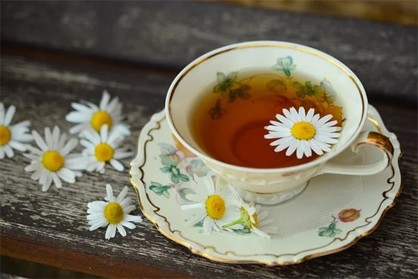 コアエアレーションで芝生がよみがえる理由と実践法