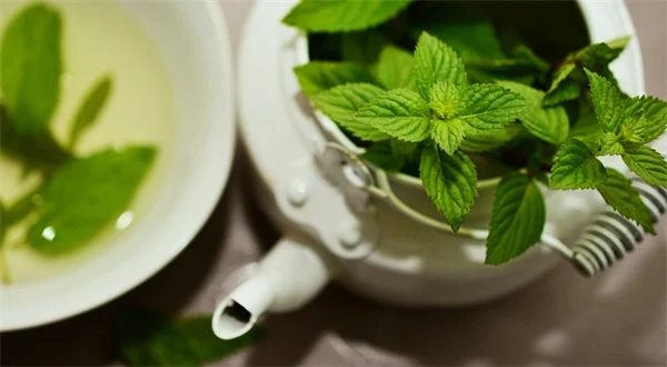 花粉媒介植物の選び方：庭に来る生き物を増やす7つのポイント