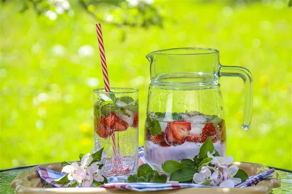 Kaffir Lilyの種から育てるコツと3年の開花体験